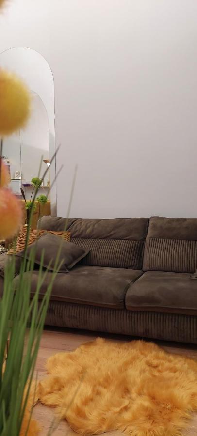 Apartament M Vatra Dornei Extérieur photo