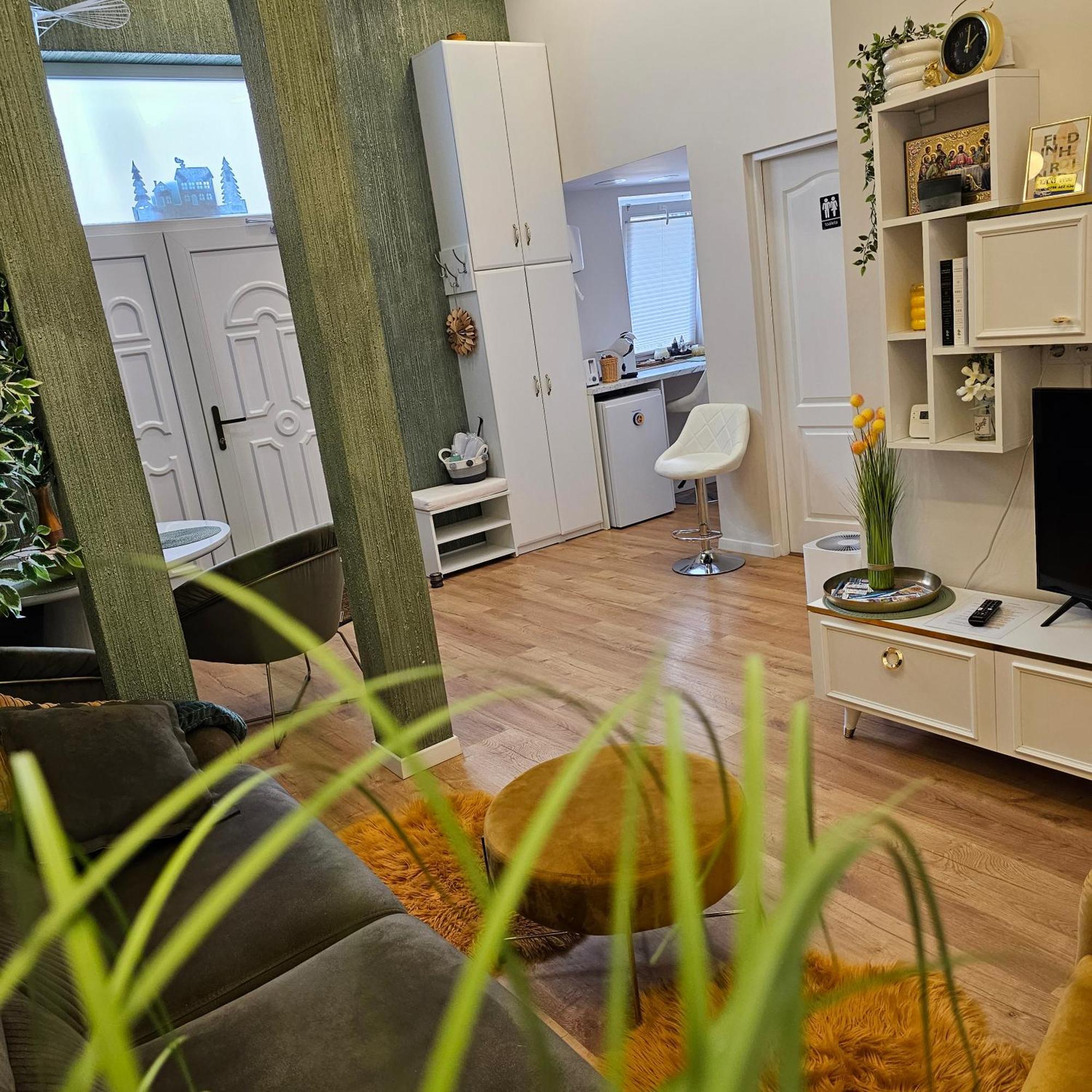 Apartament M Vatra Dornei Extérieur photo
